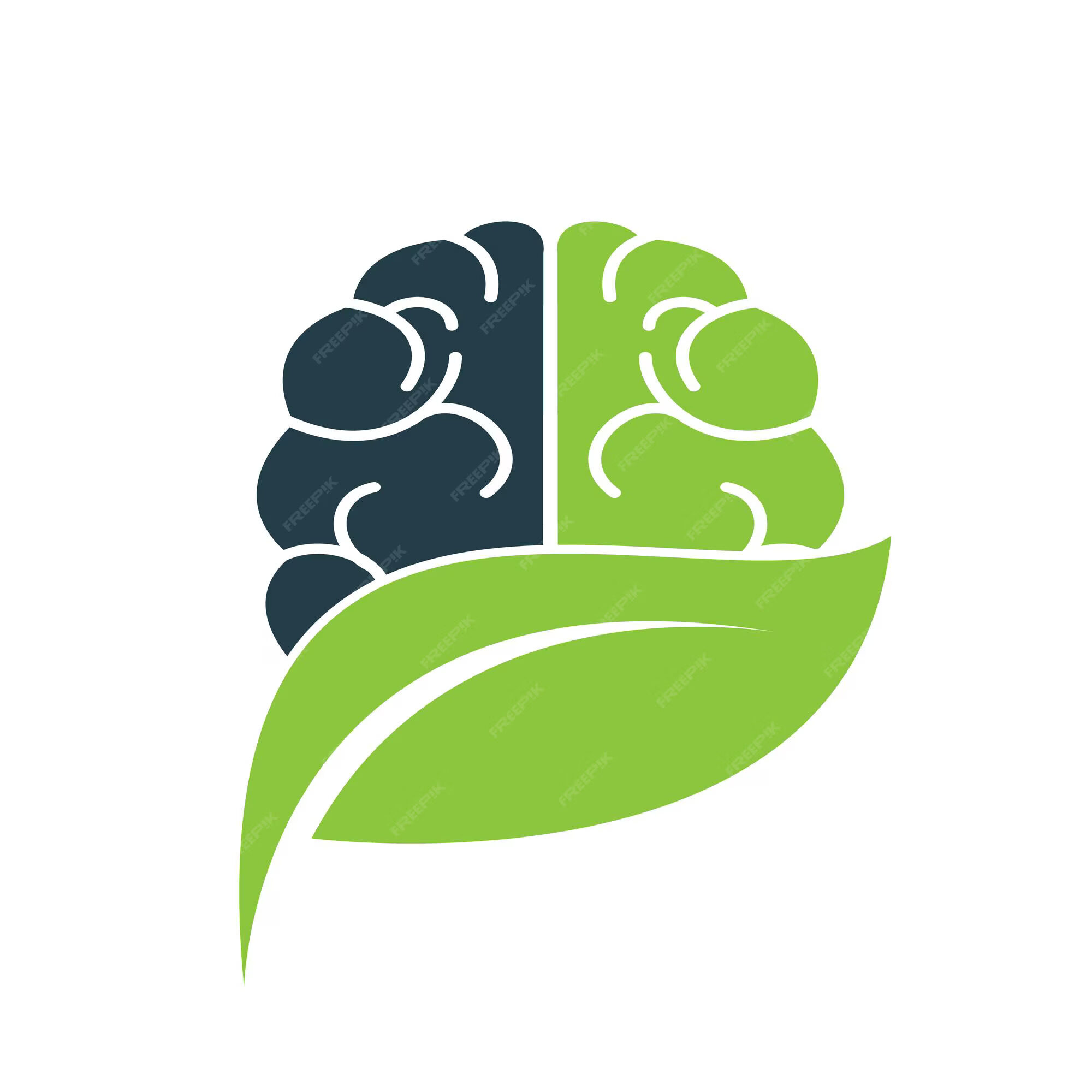 brain-leaf-logo-combination-vector-design-organic-brain-logo-vector-design_828162-1096